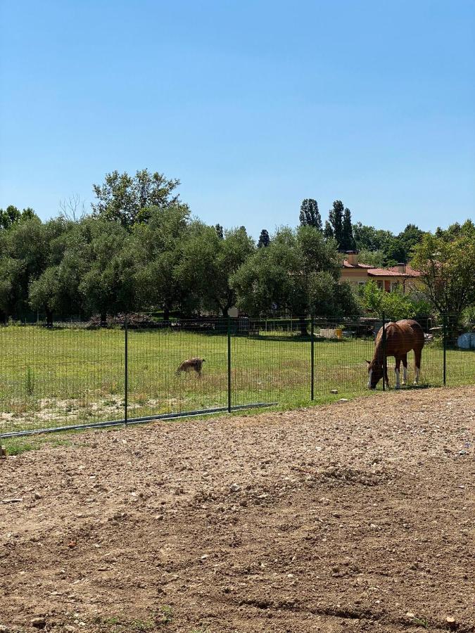 فندق I Broletti Del Garda Pacengo Di Lazise المظهر الخارجي الصورة
